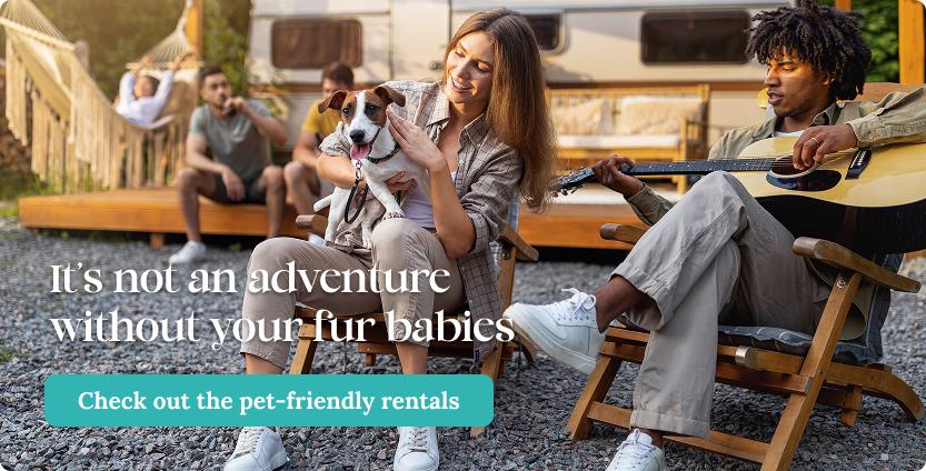 Feature image with pets